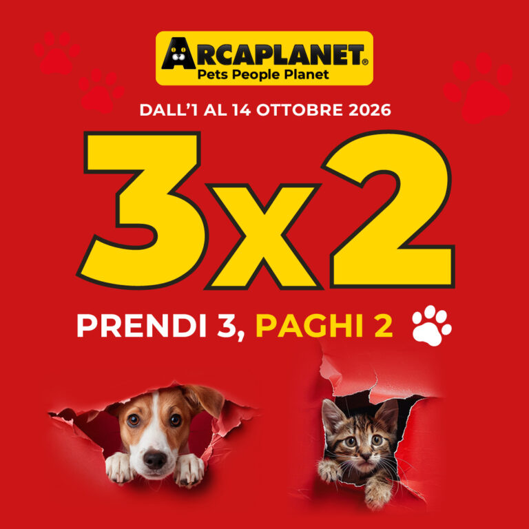 Arca Vol 3x2 OTT PROMO NoCTA 1080 x 1080
