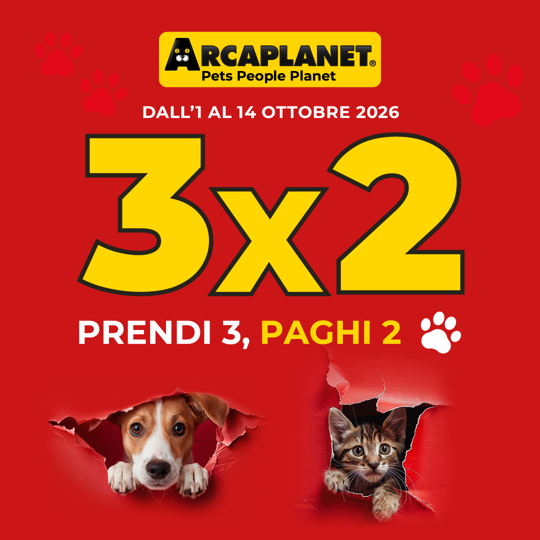 Arca Vol 3x2 OTT PROMO NoCTA 1080 x 1080